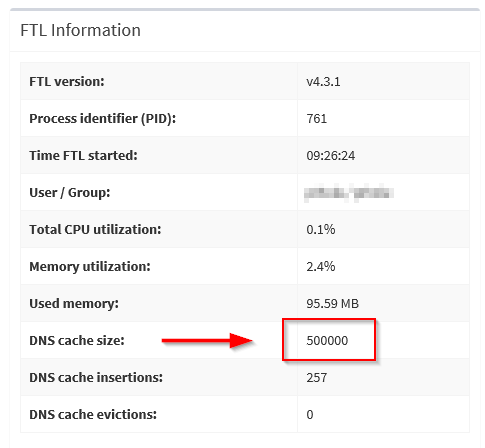 DNS Cache Anpassung für FTL Information