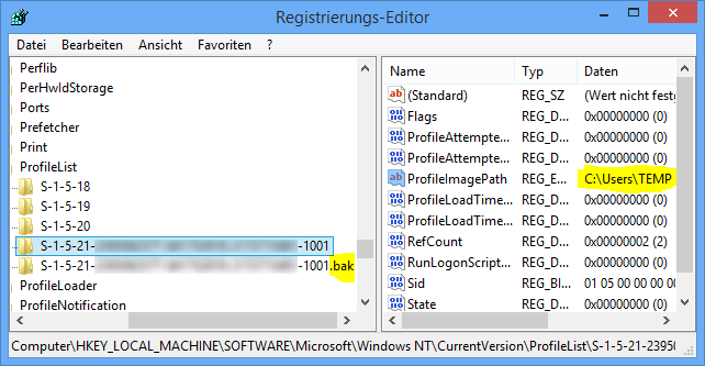 Windows Registry - Bsp. für ein Temp Profil